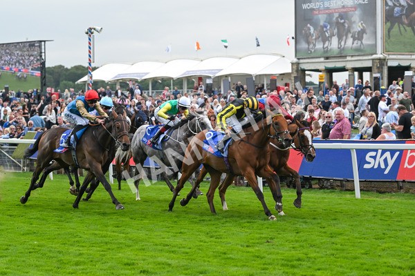220825-Race 1-Asgards Captain-6634 - Race 1 1.50pm Sky Bet Handicap