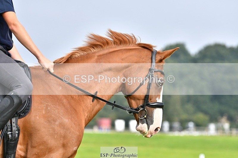 230817-091405-02505 - Abbie's 1st Group - Dressage