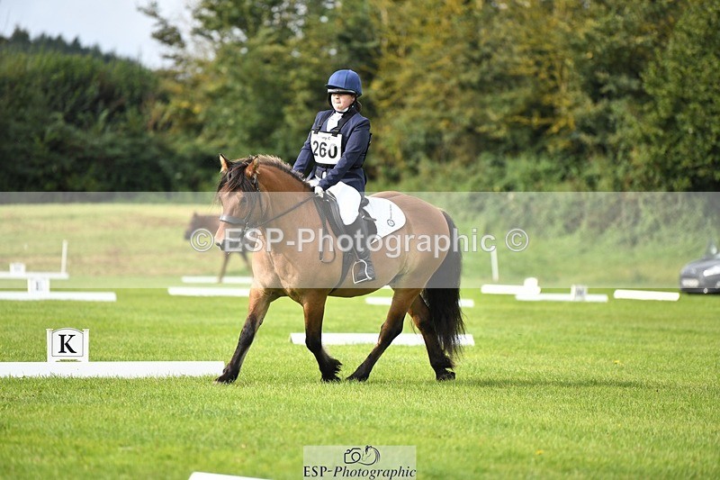 230826-100914-15370 - Sections C & D 10 to End