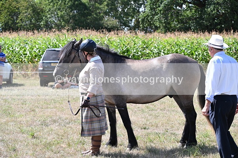WJ6_4986 - Class 17 Mountain & Moorland