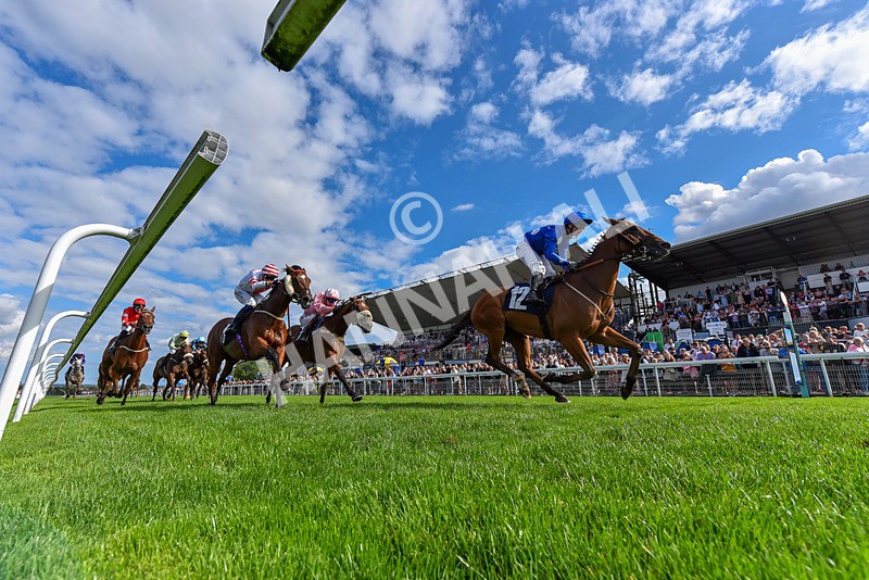 300826-Race 4-Financer-6639 - Race 4 3.20pm Ward Homes Yorkshire Handicap