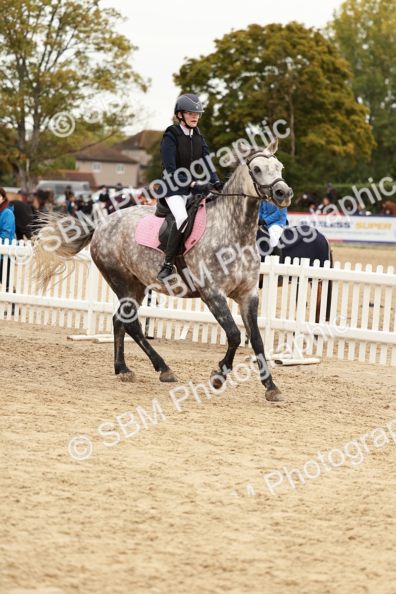SBM_57996 - J11 - Junior Pony 50cm Championship