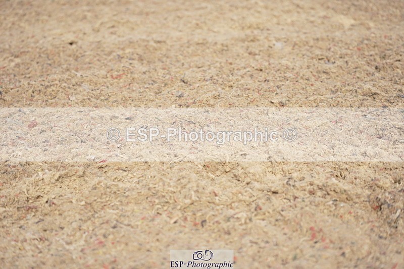 230708A-091852-00116 - Intro C