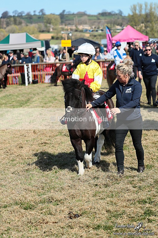 Shet 060426 77 - Shetland Pony Racing Paxford Races Easter Mon 06/04/26