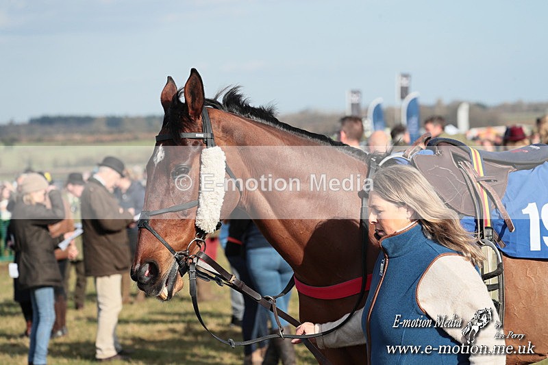 PtP 010325 379 - Beaufort Races Didmarton 01/03/25