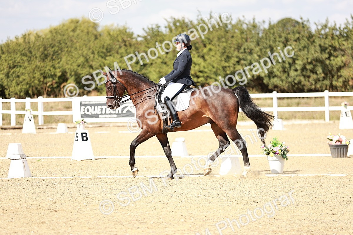 SBM_019297