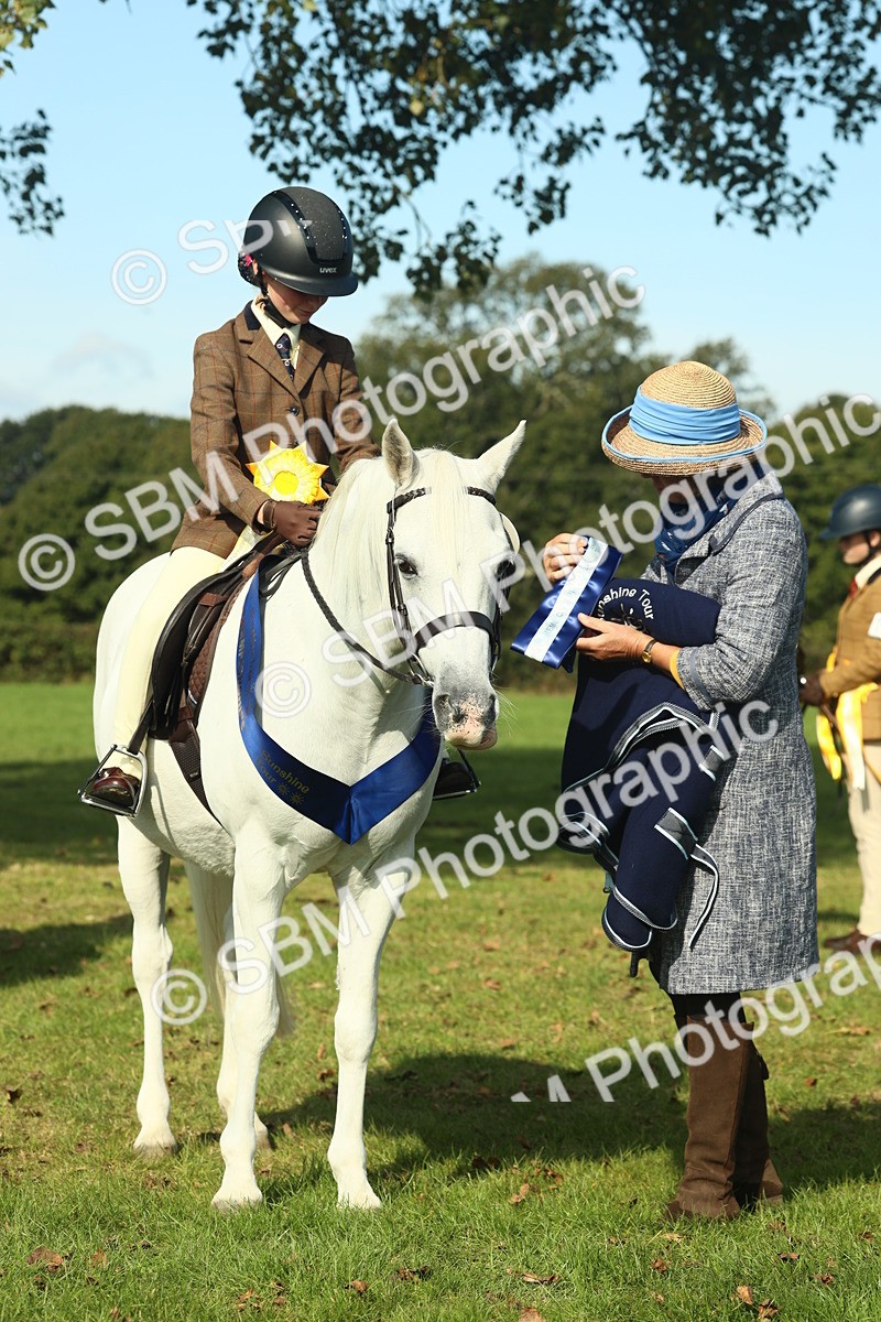 SBM_61148 - Starter Supreme Championship