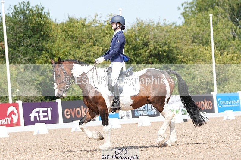 250817-122613-09345 - 050-Mollie.SheathTouch.Wood