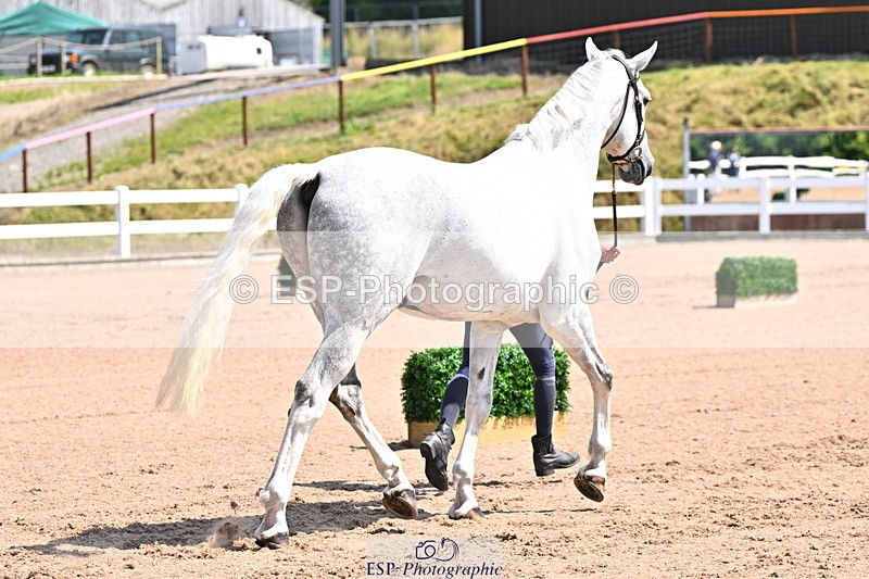 240718A-105238-00967 - Trot Up 11am to 12pm