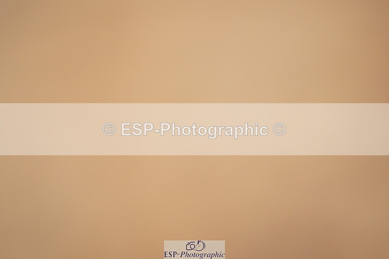 240317A-155816-07894 - Cls 29 Snr Foxhunter