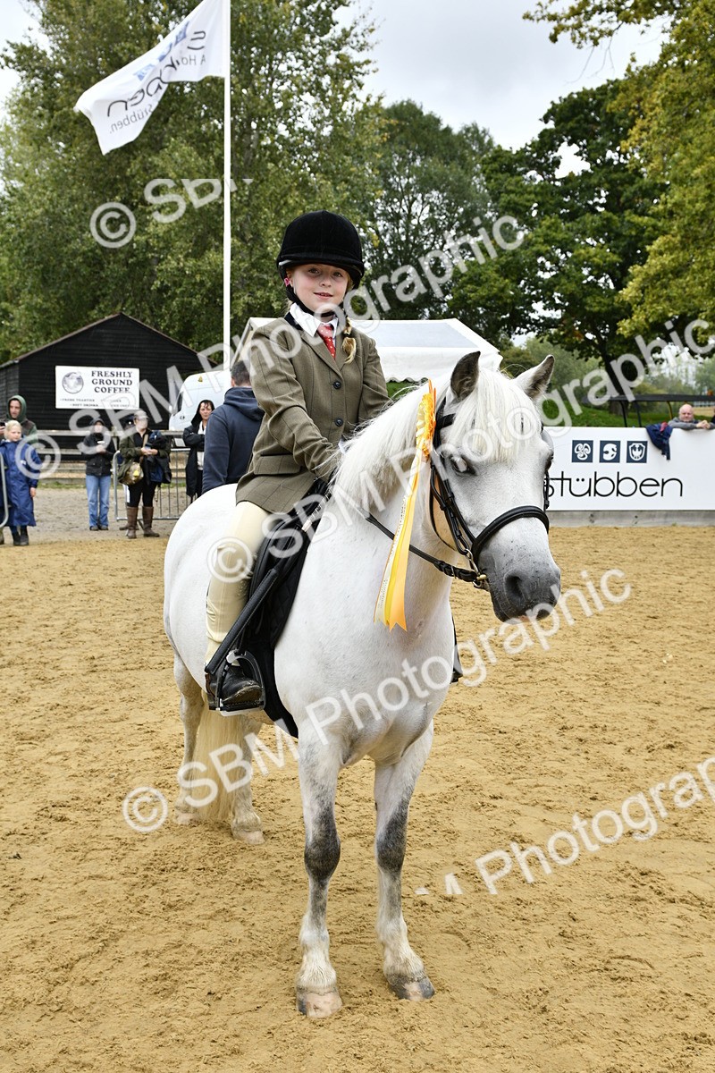 SBM_68501 - J2b - Mini Tour Junior Pony 30cm championship