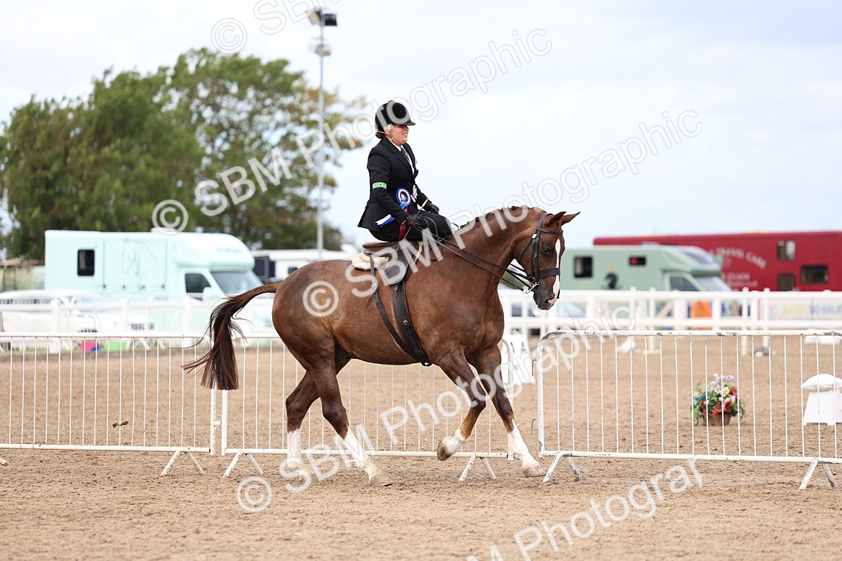 SBM_03488 - Class 24 - SSA Concours d'elegance (any age)