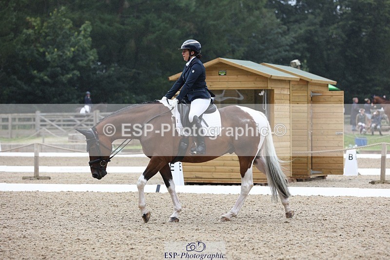 230812-103134-03247 - Cls 5 Novice Bronze Start to 10.55 break