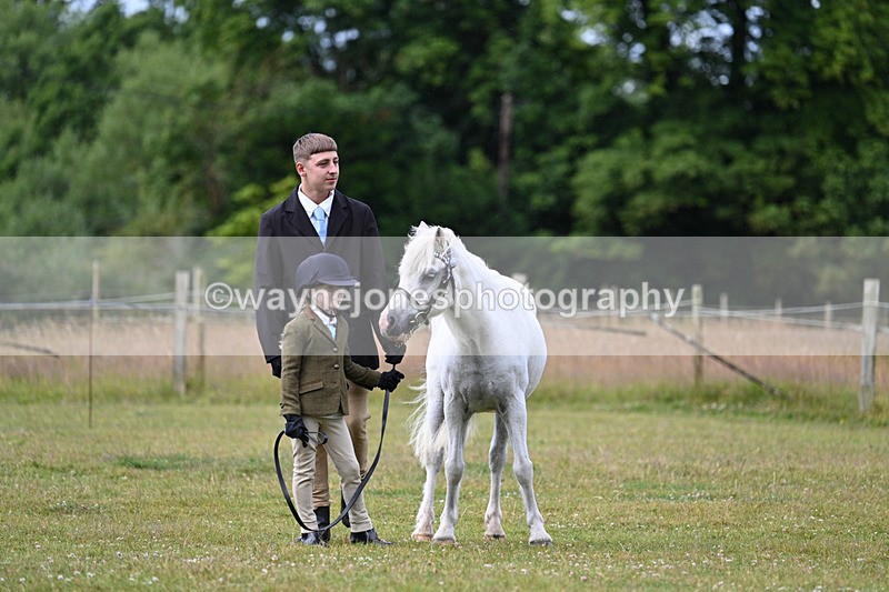 WJ7_4645 - Class 1 Lead Rein Pony