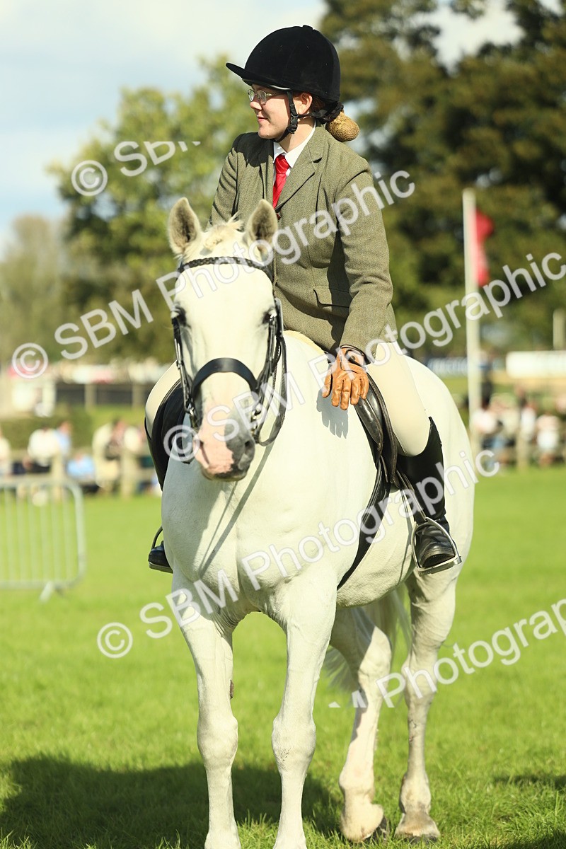 SBM_49913 - S32 - Novice & Newcomers Working Hunter