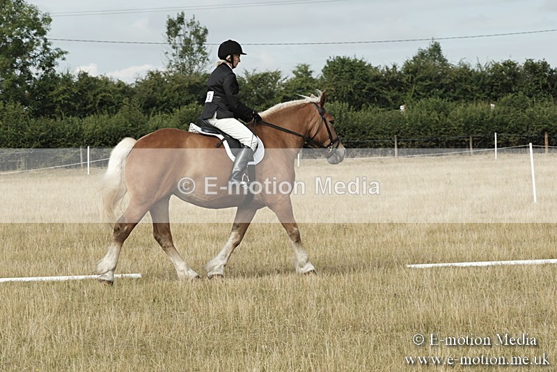 _PJP5595 - Dressage Classes BVRC Show 2018
