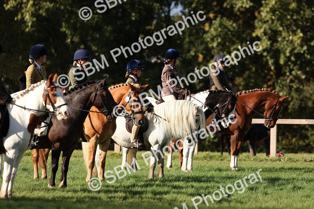 SBM_52467 - S13 - Pony Club Pony