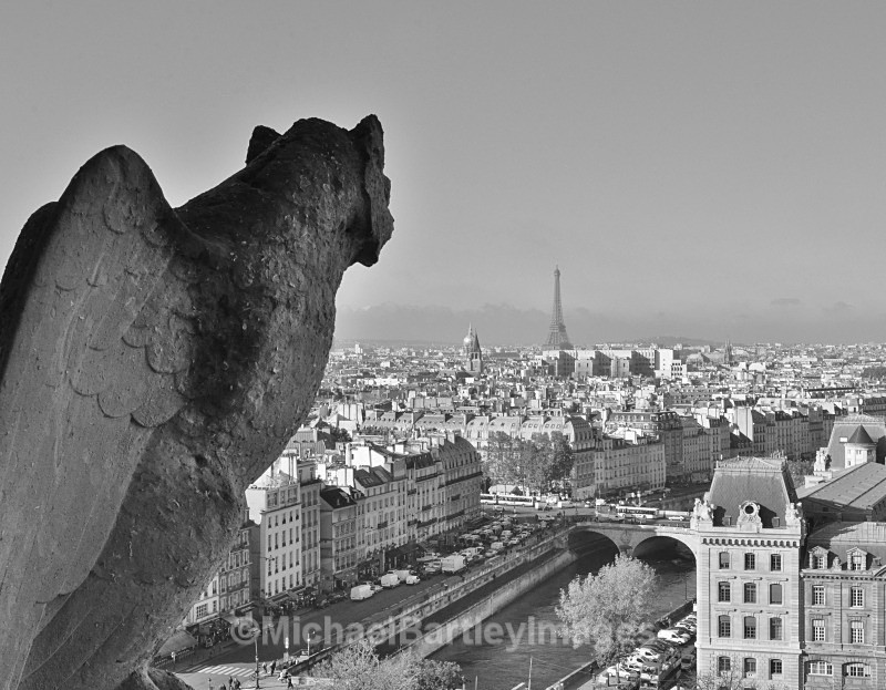 Watching Paris - Black and White