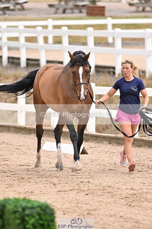 250716-151127-01736 - Trot Up 2.30 to 3.30