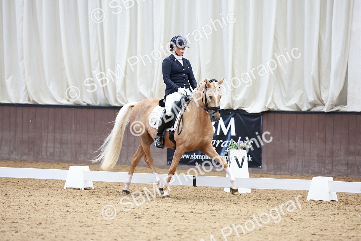 SBM_017309 - Class15 - FEI Pony
