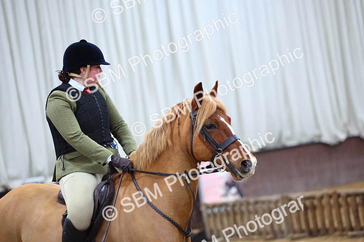 SBM_003086 - Class 35 - 60cm Training Stakes