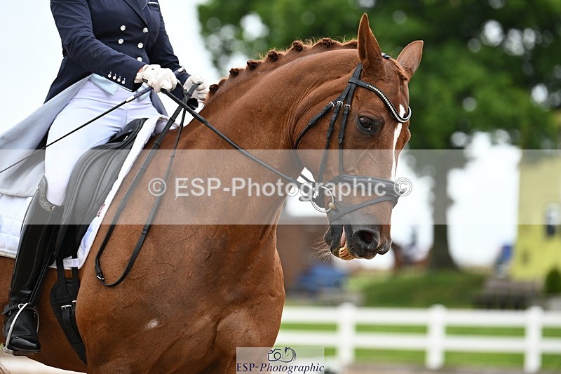 240623A-175231-20658 - Cls 61 BD FEI Inter I