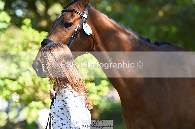 230524-153054-00321 - 373-BENGAL_LORE-Pippa_Taylor-WEDTrotUp+DR