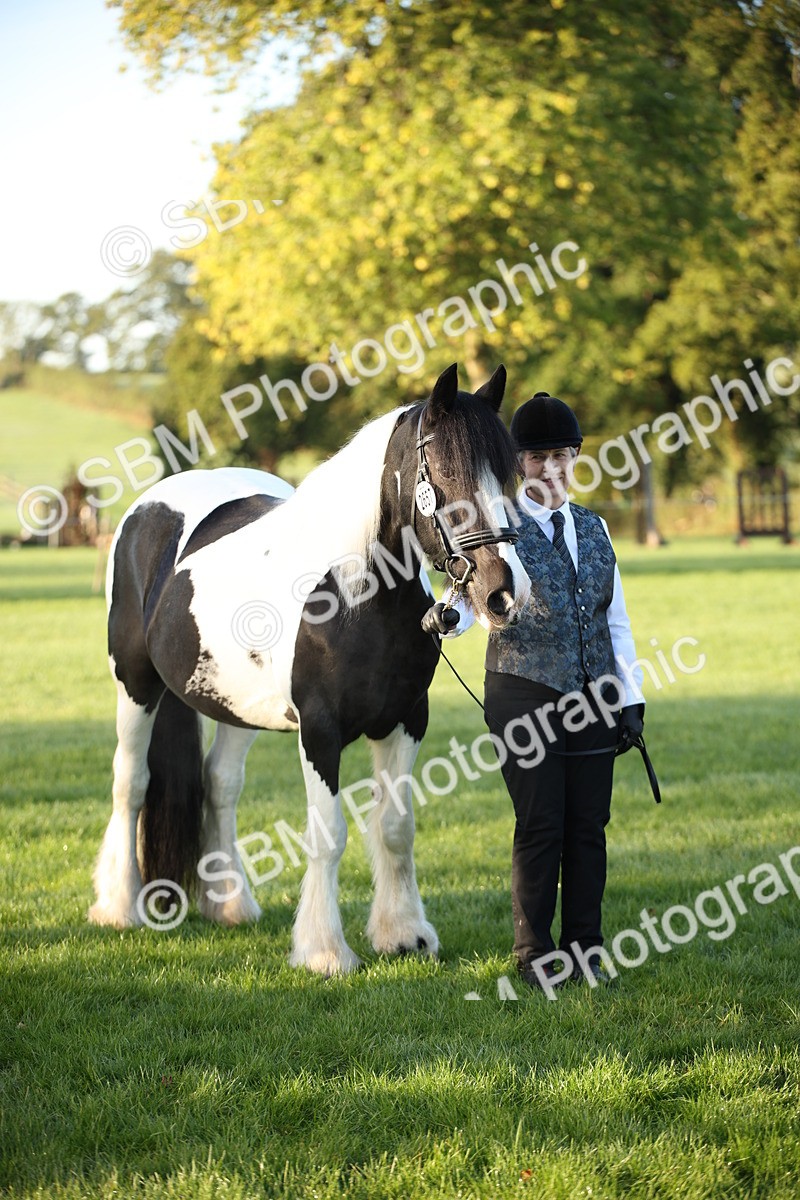 SBM_32300 - S8 - Best Turned Out