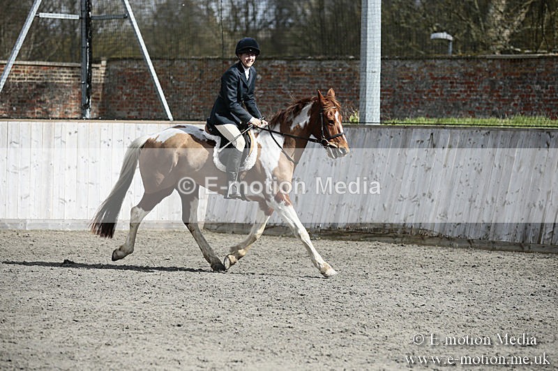 BVRC SJ 170319 348 - Bourne Valley Riding Club Showjumping 17/03/19