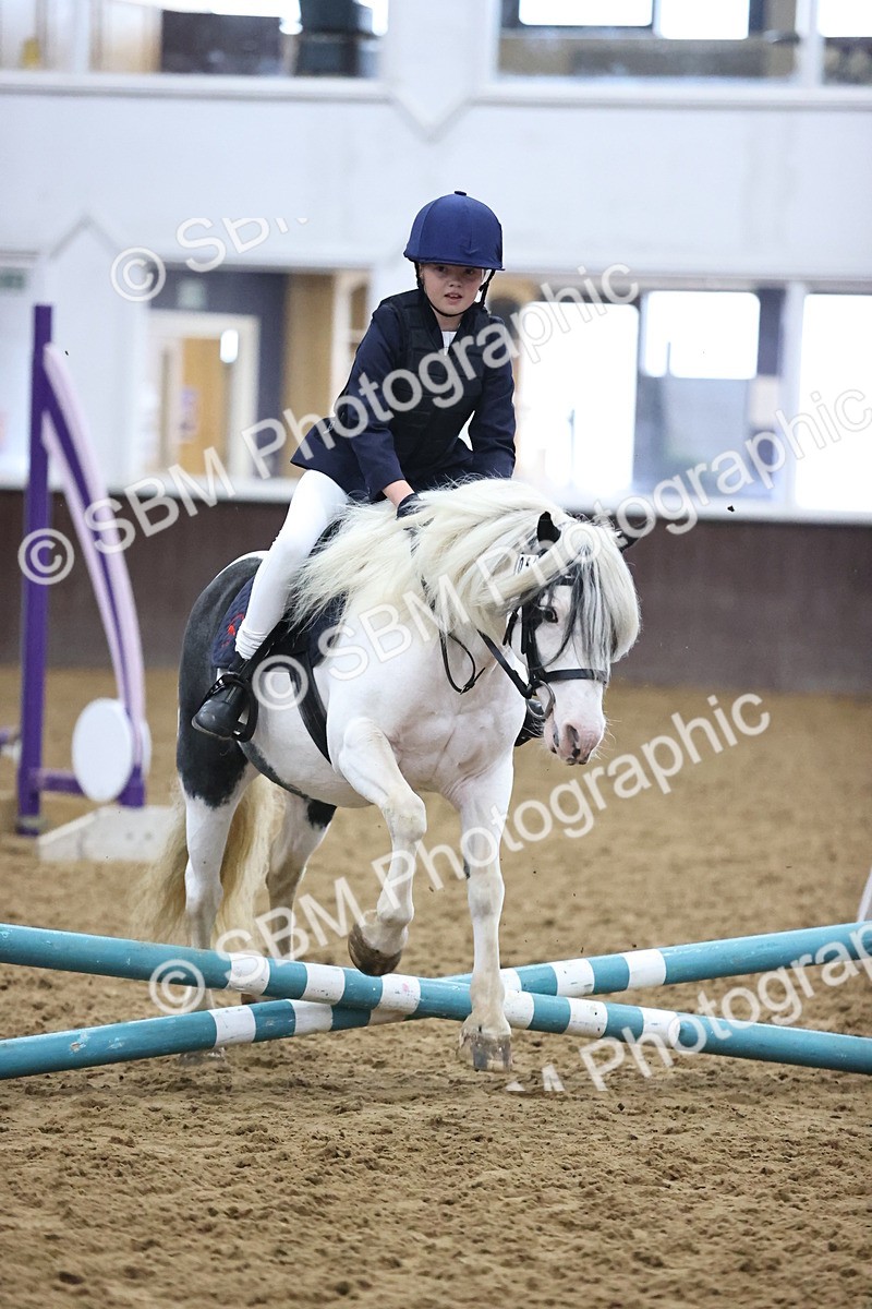 SBM_000054 - Class 1 - Fox Farriers 30cm