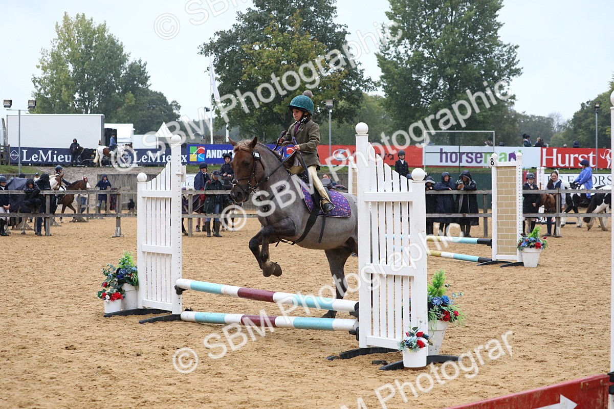 SBM_71486 - J4 - Mini Tour Junior Pony 45cm Championship