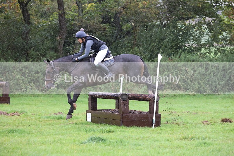 JPP_5439 - Class 4: 80cm: Crossed Logs