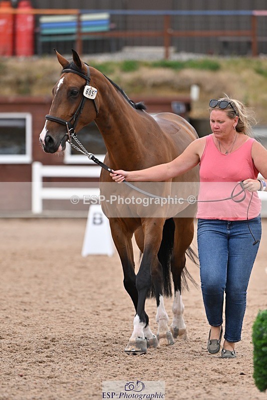 250716-141512-00989 - Trot Up 1.30 to 2.30