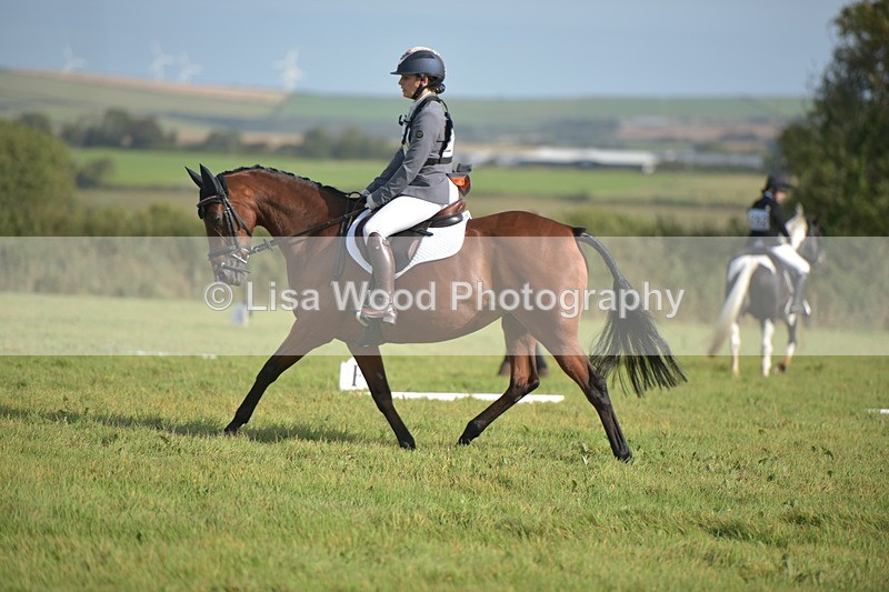RAY_7564 - Class 2B: Trekenning Open: Dressage