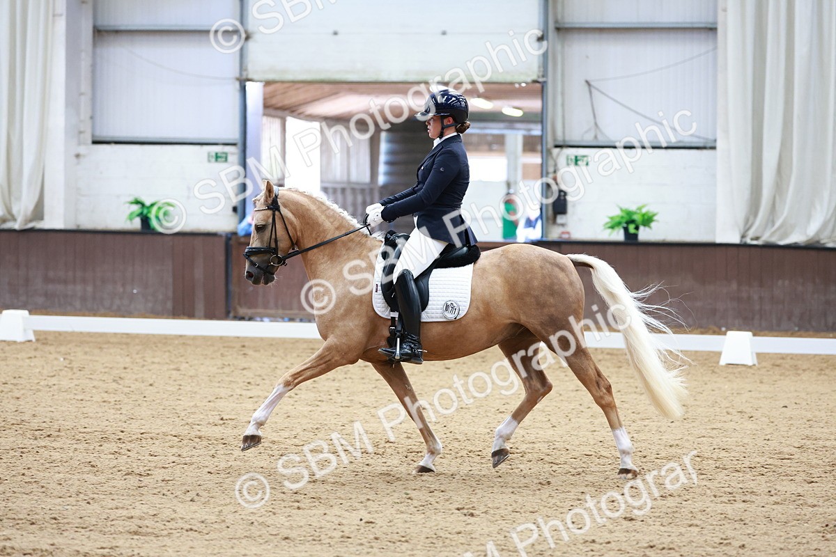 SBM_017316 - Class15 - FEI Pony