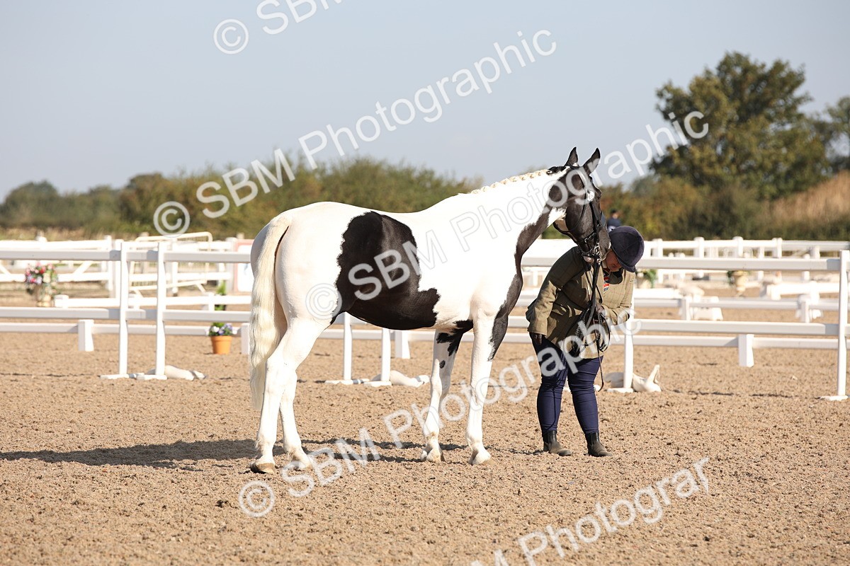 SBM_01445 - Class 15 IH Coloured