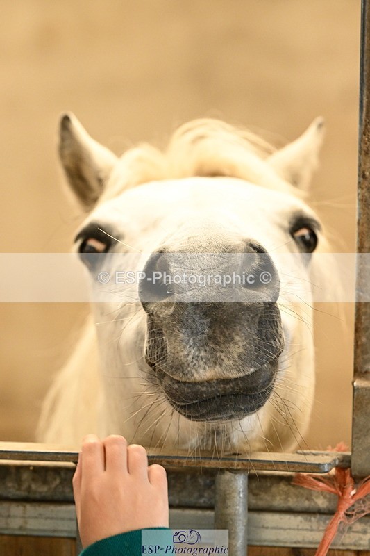 240809A-091240-00066 - Stable Shots