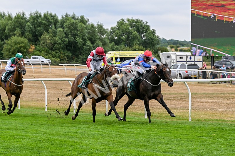 170826-Race 3-Quercus-9362 - Race 3 15.15pm Chapman Milestones Celebration, Thank You NHS Handicap