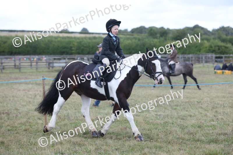 20250831-4233 - Class 20 - Ridden Coloured