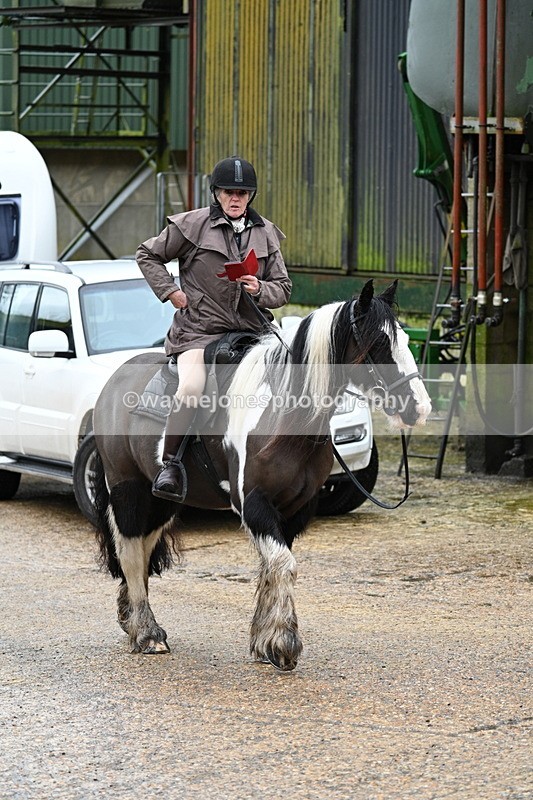 WJ7_8749 - Berks & Bucks - Rowles Farm 15-02-26