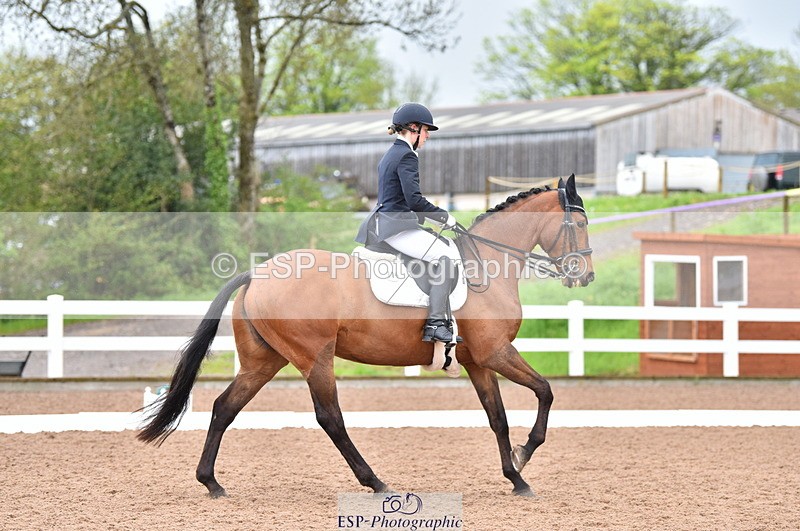 230511A-123806-00615 - BD Cls 8 Elementary 59