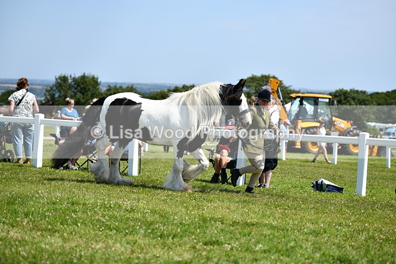 DSC_7623 - Class 64: Coloured Pony 4yrs & over