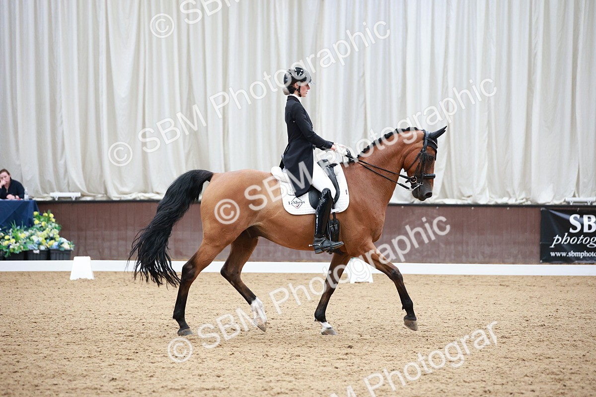 SBM_009616 - Class 13 - FEI PSG - 11.06-12.34