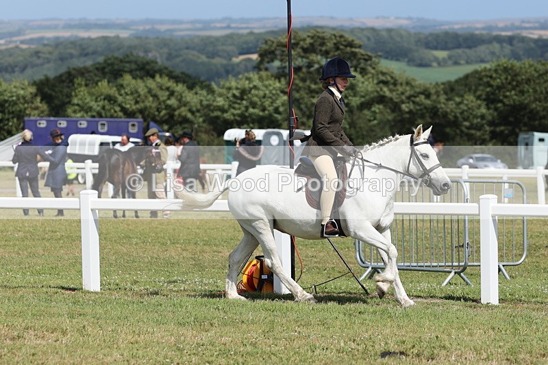 JPP_2283 - Class 19: Working Hunter 60cm