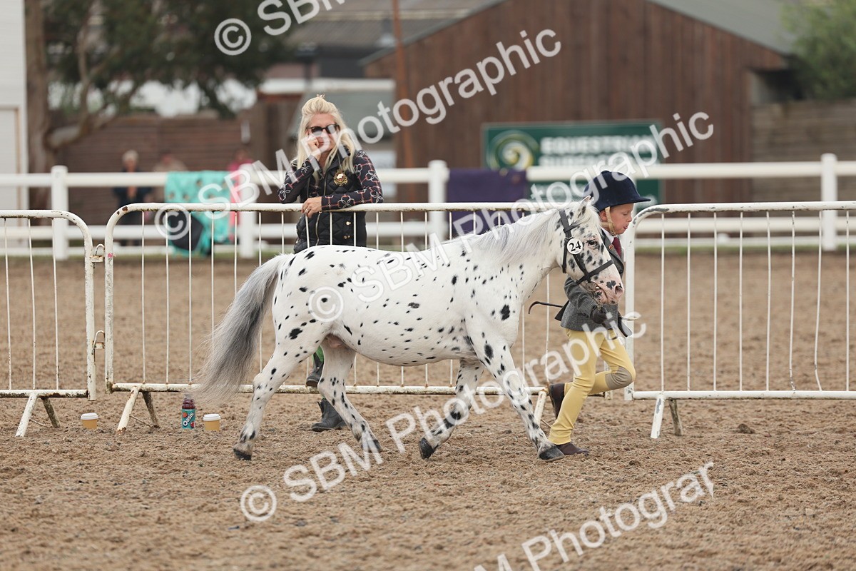 SBM_08435 - Class 29 - IH Veteran Pony