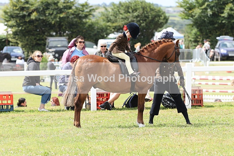 JPP_1641 - Cornish Combination Championship