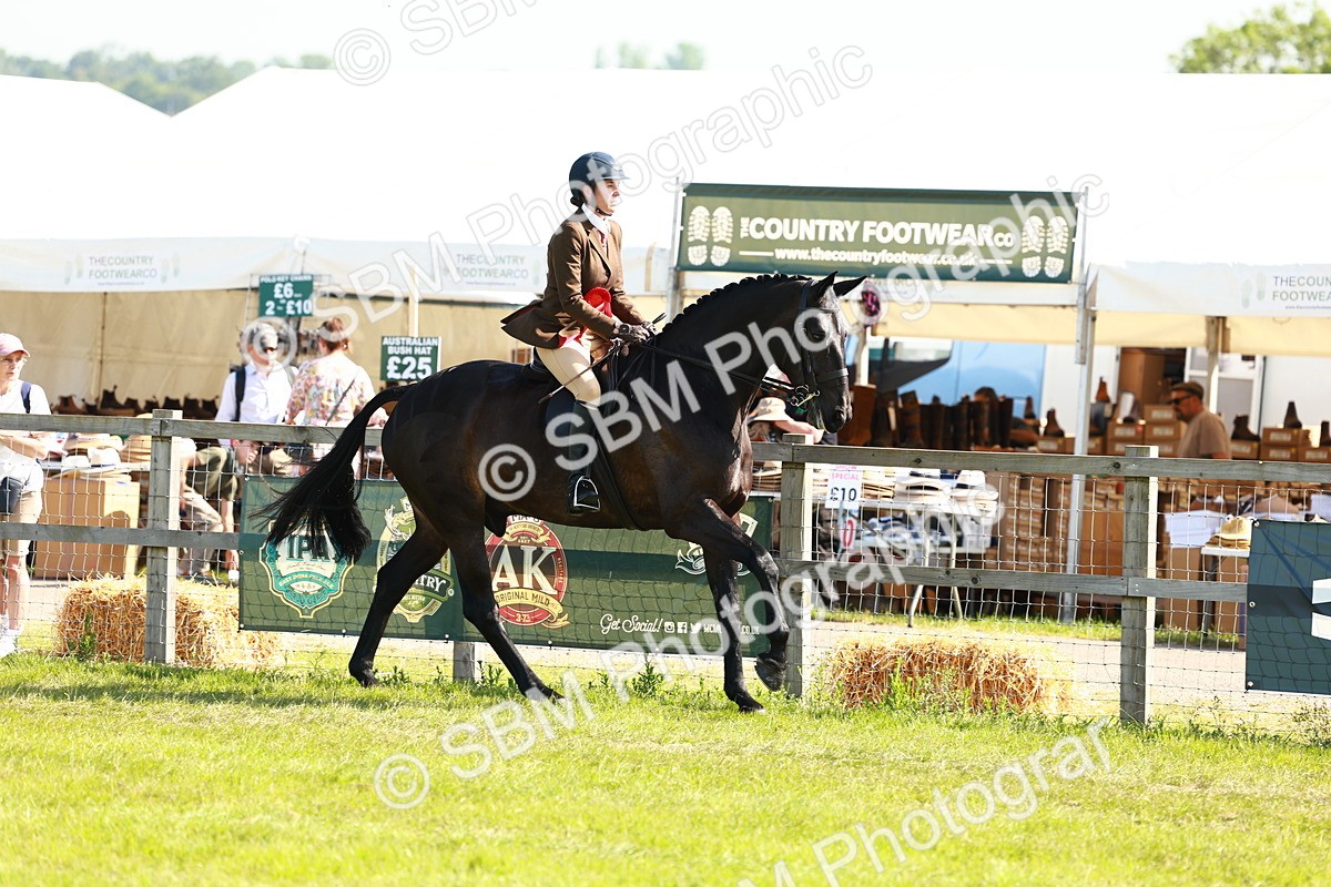 SBM_11913 - Class 66-69 - RIHS Ridden Hunters Inc Small Hunter