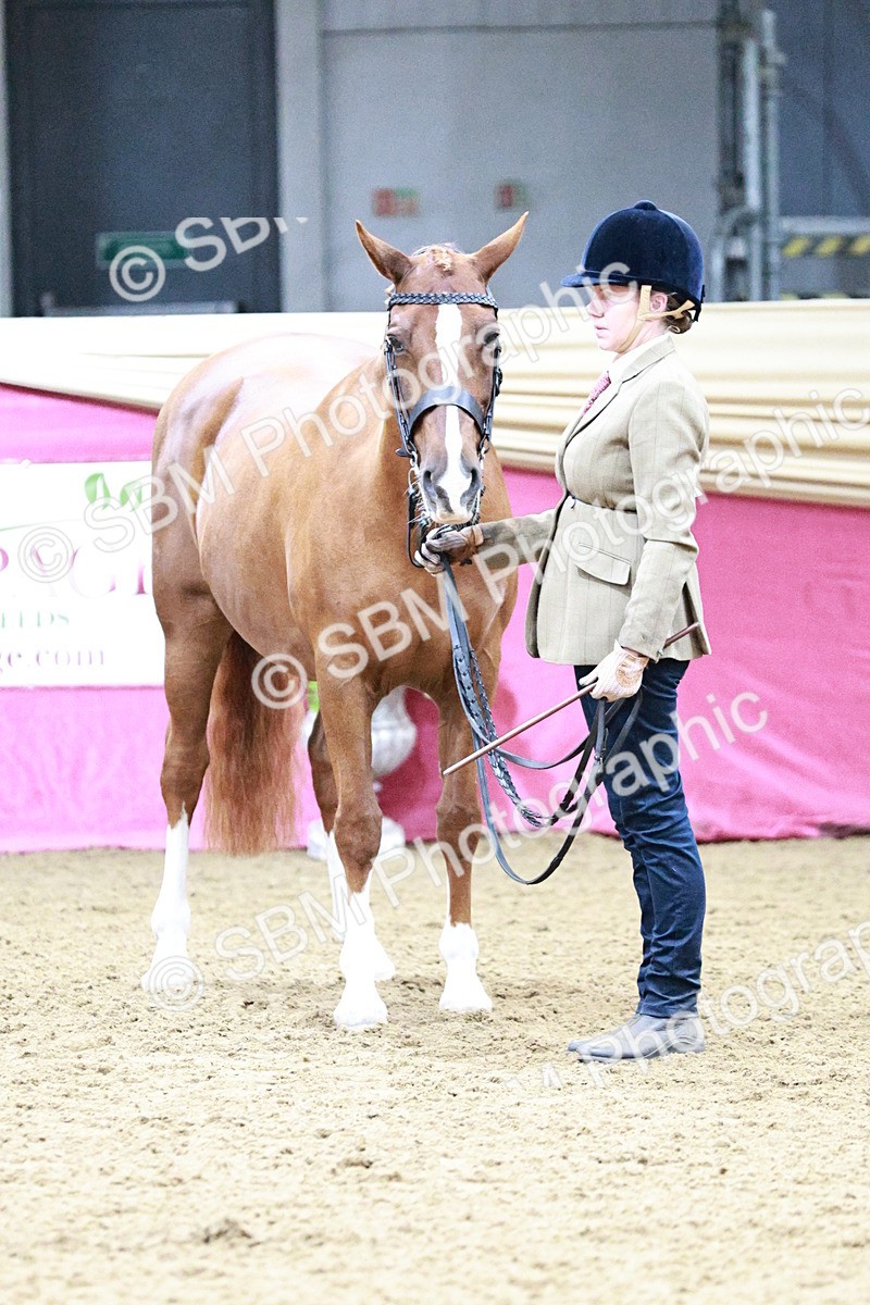 SBM_00321 - Class 1A - Area IH Diamond