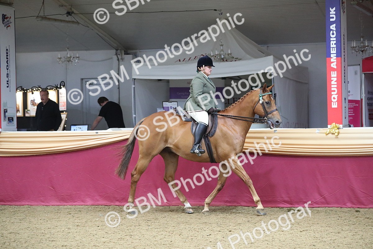 SBM_12311 - Class 108 Ridden Retired Racehorse- Pre Judging