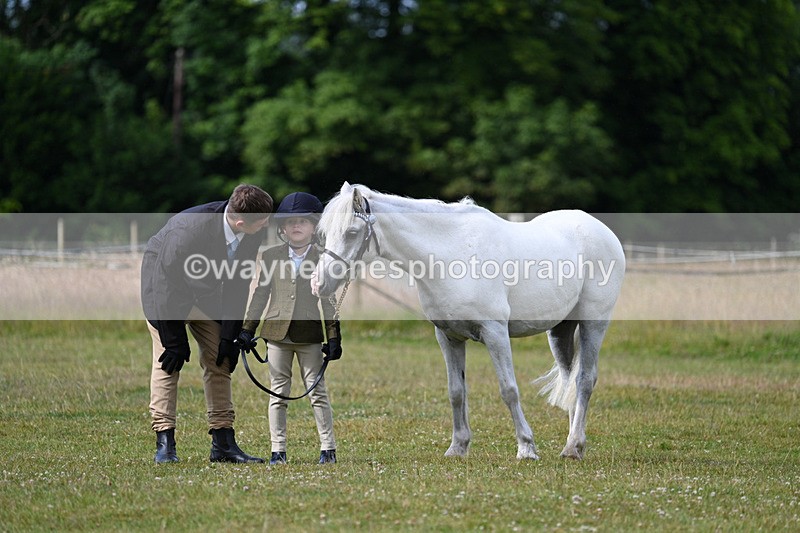 WJ7_4550 - Class 1 Lead Rein Pony